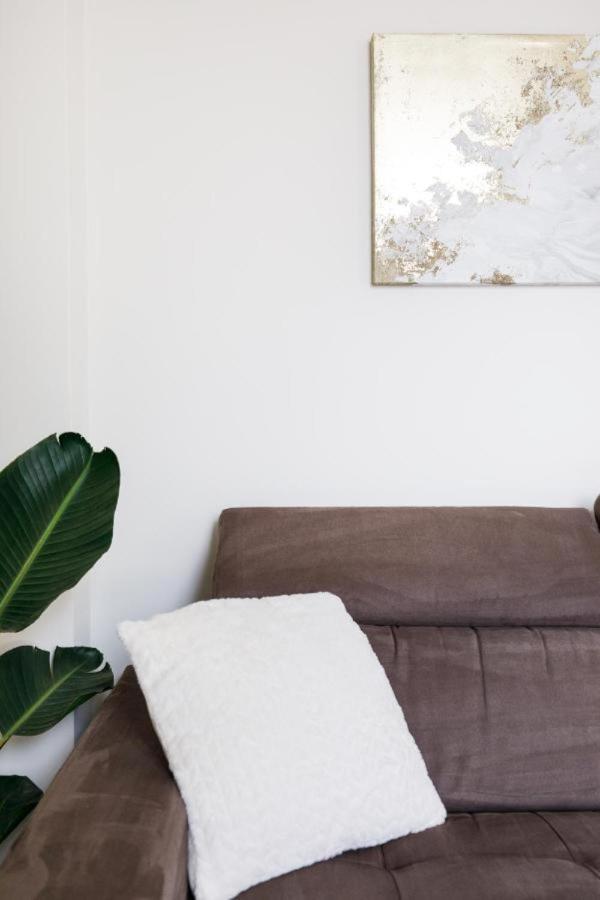 Bright And Elegant Renovated Two Rooms - Near Suquet Cannes Extérieur photo